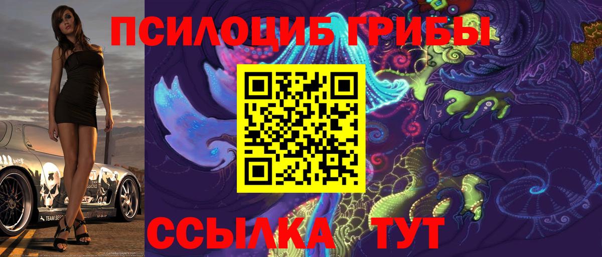Псилоцибиновые грибы Cubensis Сосновоборск